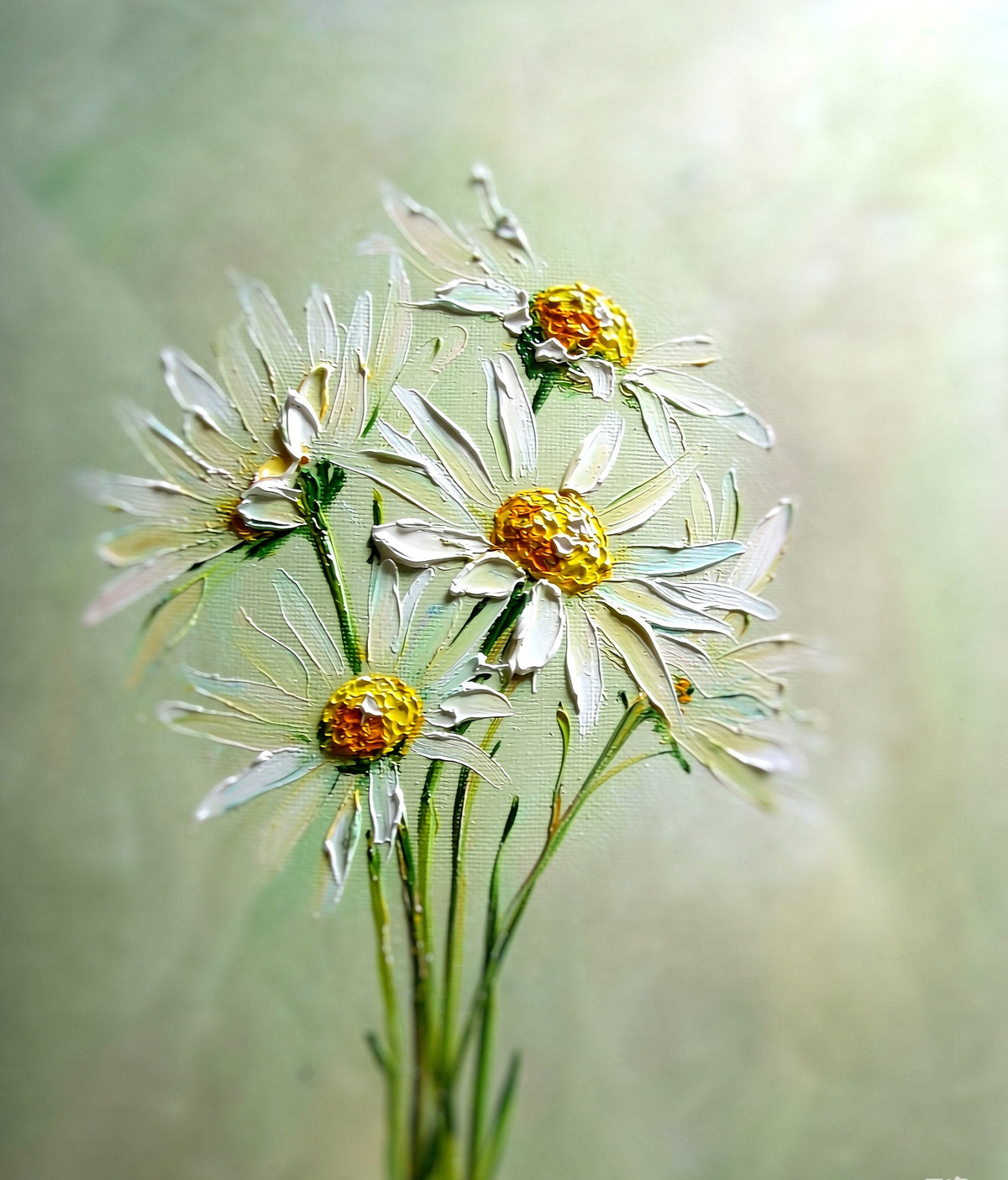 White daisy hand-painted floral oil painting